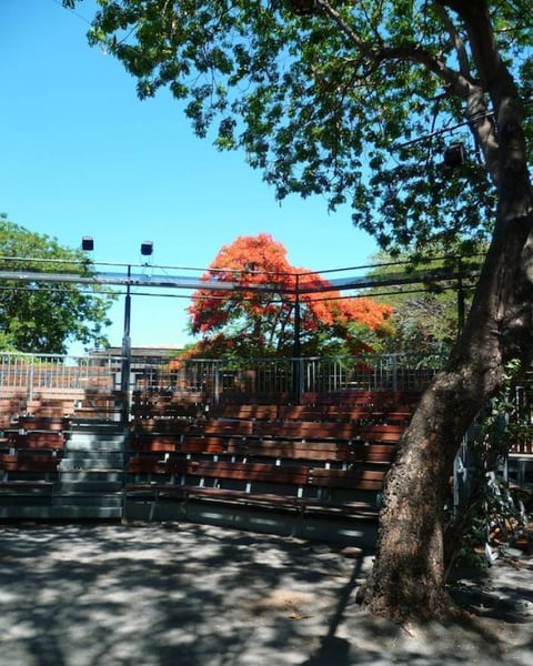Théâtre sous les arbres