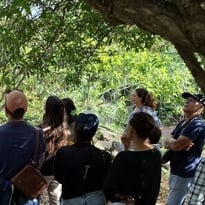 Visite guidée de l'arboretum et du musée Thérésien Cadet