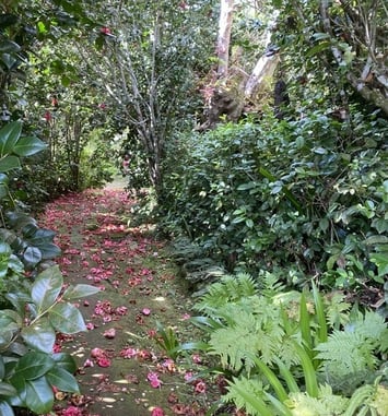 Des hommes et des plantes à La Réunion: découverte du jardin de La Vallée Heureuse