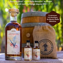 Dégustation des saveurs réunionnaises