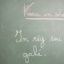 Ateliers arts plastiques et atelier langue créole