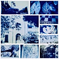 Ateliers créatifs cyanotype, « Patrimoine de la photographie »