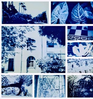 Ateliers créatifs cyanotype, « Patrimoine de la photographie »
