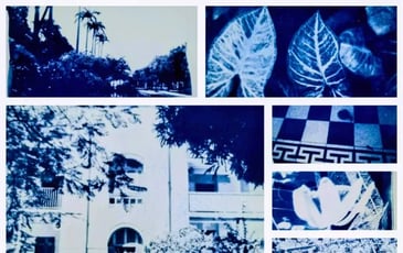 Ateliers créatifs cyanotype, « Patrimoine de la photographie »