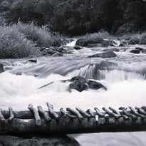 Bicentenaire de la photographie, Exposition Photos Argentiques