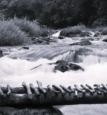 Bicentenaire de la photographie, Exposition Photos Argentiques