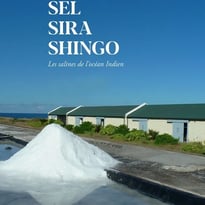Visite guidée de l'exposition "Sel, Sira, Shingo, les salines des îles de l'océan Indien"
